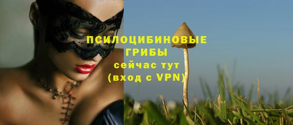 спиды Беломорск